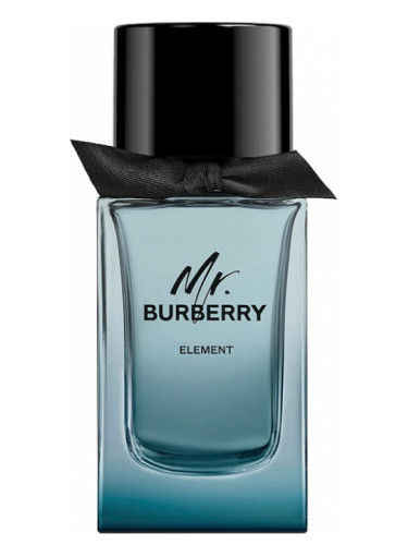 Buy Burberry Mr. Burberry Element for Men Eau de Parfum 150mL Online at low price 