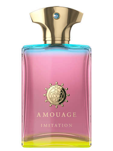 Picture of Amouage Imitation for Men Eau de Parfum 100mL