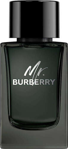 Picture of Burberry Mr. Burberry for Men Eau de Parfum 100mL