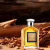 Aramis 900 Woody Chypre Cologne with Oakmoss Base 100mL