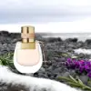 Chloe Nomade Chypre Floral Fragrance for Women