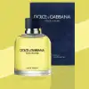 Dolce & Gabbana Pour Homme Aromatic Citrusy Fragrance