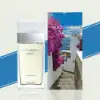 Light Blue Escape to Panarea Floral Fruity Fragrance