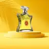 Elegant Broadway Nite Perfume with Amber & Cedarwood