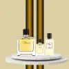 Sophisticated Hermès Terre D'Hermès fragrance and grooming gift set for men.