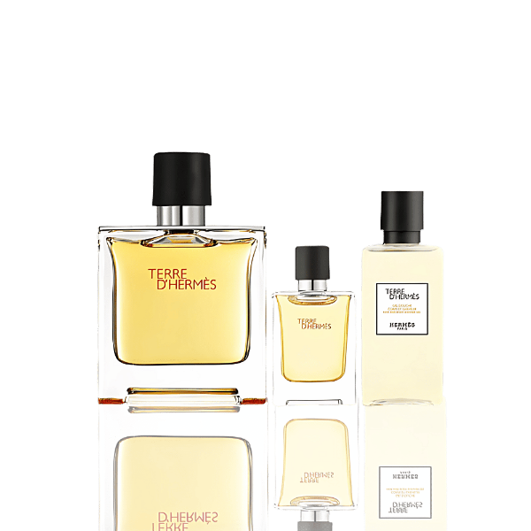 Hermès Terre D'Hermès Eau de Toilette 100mL Gift Set with after-shave lotion.