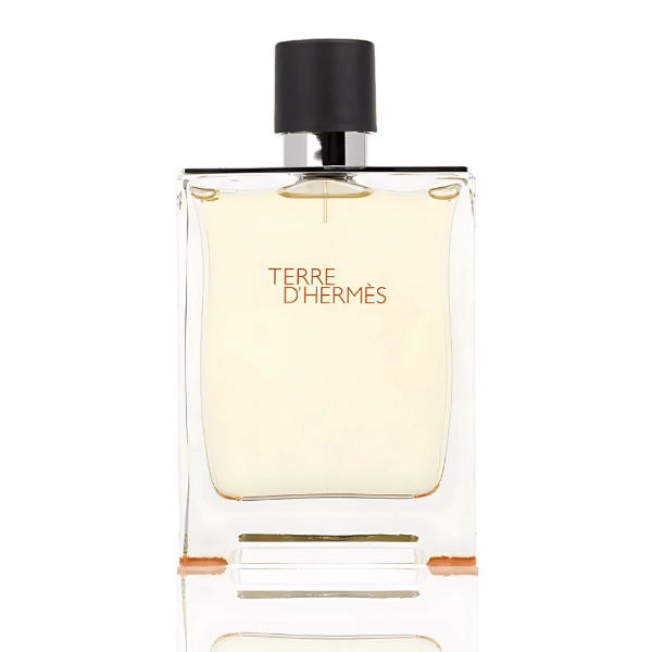 Hermès Terre D'Hermès Eau de Toilette 200mL, a bold woody spicy fragrance for men.