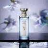 Eau Parfumee Au The Bleu by Bvlgari – Musk & Iris Cologne