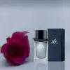 Mr. Burberry Indigo – Masculine Scent with Mint & Tea.