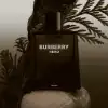 Hero by Burberry 100ml EDP – Men’s Fragrance