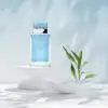 D&G Light Blue Eau Intense 25 ml EDP – Women’s Perfume Spray