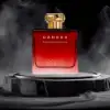 Roja Danger Parfum Cologne 100ml for Men